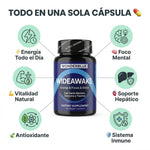 WIDEAWAKE – Energía y Enfoque Mental con Detox Natural (60 cápsulas) 🍃