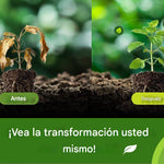 Viresta Bio™ | El impulso natural que tus plantas necesitan para crecer más fuertes y saludables 🌱