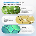 FollicLux™ | Sérum Capilar Roll-On con Romero