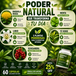🌱 Fórmula Natural Antiestrés y Energizante Rhodiola Rosea + Té Verde + Schisandra | Equilibrio, Energía y Bienestar |🌿-60 Capsulas